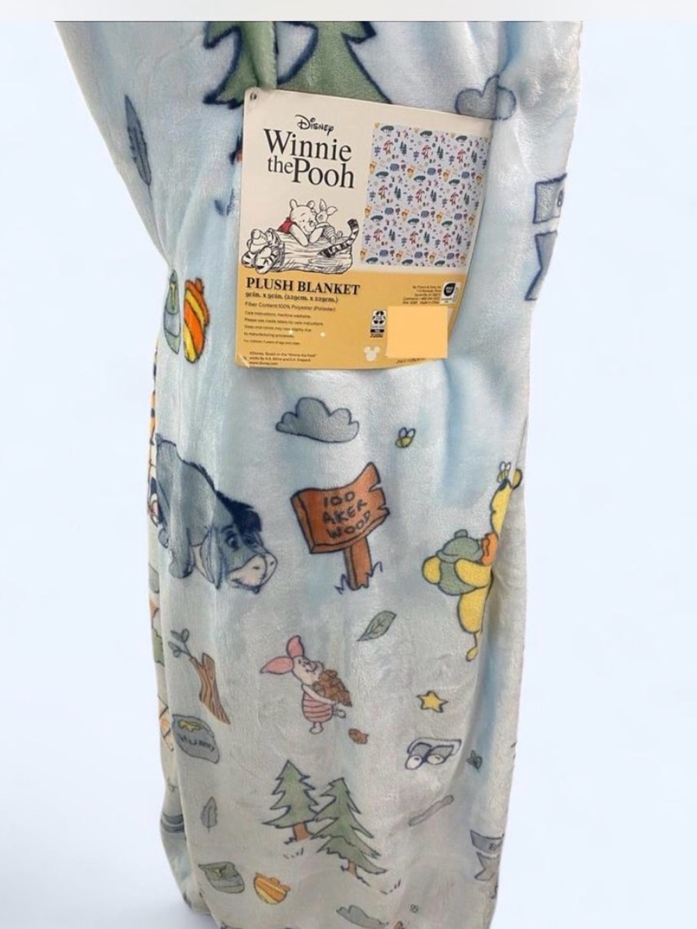 Disney Winnie the Pooh Light Blue Plush Blanket